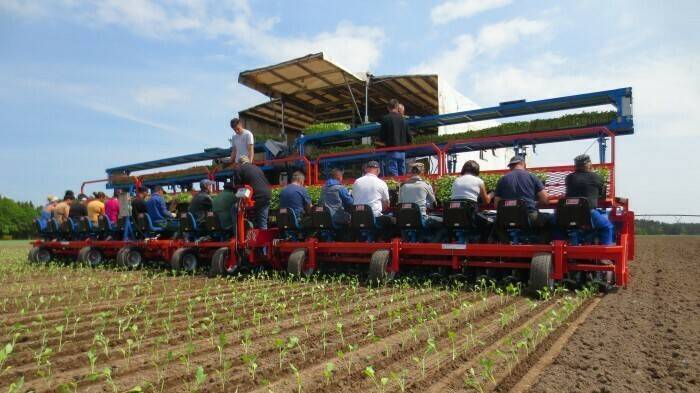 fx-multipla-transplanter|fx-multipla-transplanter (1)